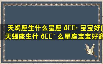 天蝎座生什么星座 🌷 宝宝好(天蝎座生什 🐴 么星座宝宝好命)